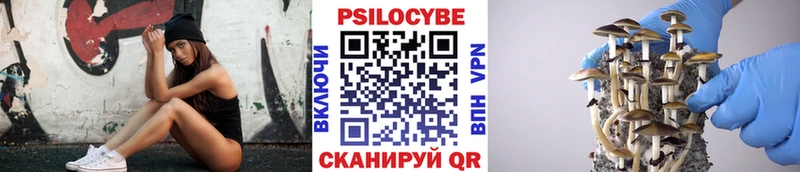 Псилоцибиновые грибы мицелий Кемь